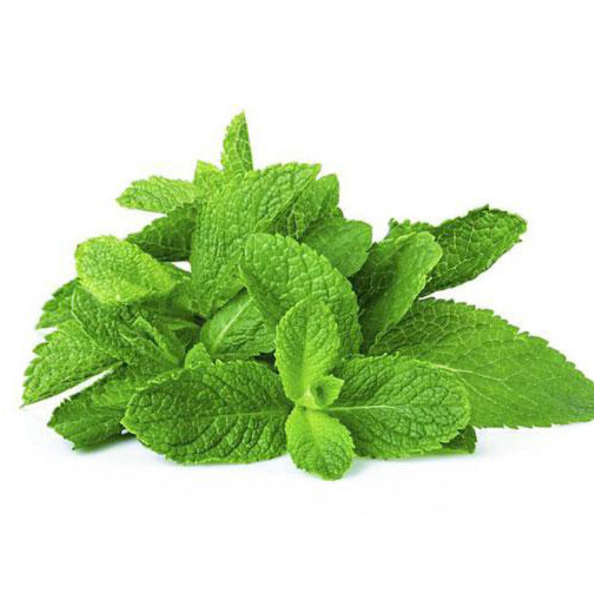 Teouma Valley Farms Mint (50g Bunch)