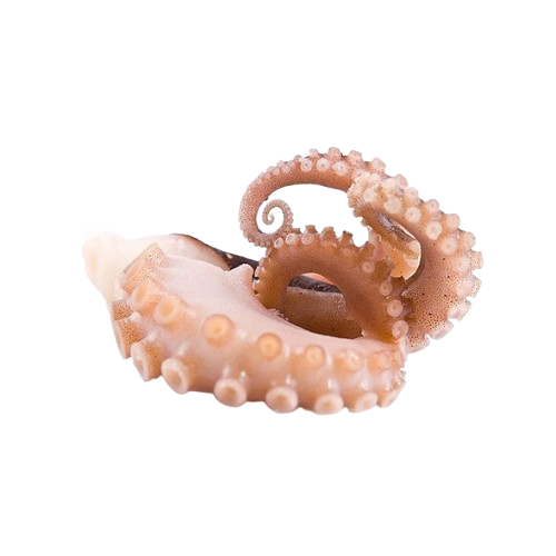 Raw Octopus Tentacles 100 - 180gram 1kg x 10