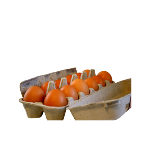 New-Zealand Grade #6 Eggs (12 Eggs Per/ Carton)