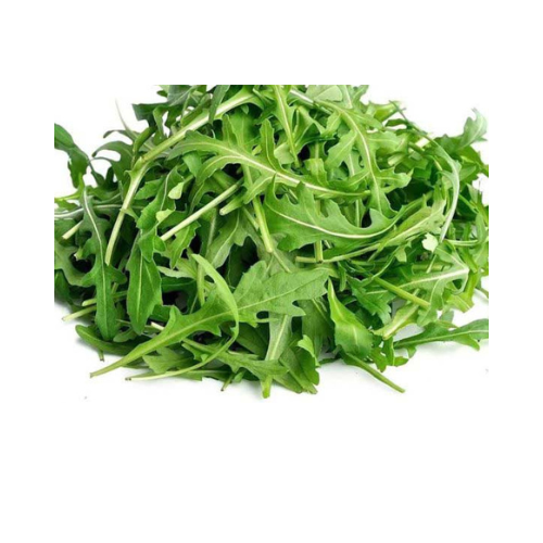 Aquaponics Rocket wild Leaf (Per/Each)