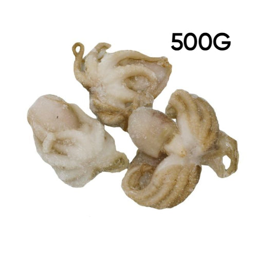 SM Baby Octopus (40/ 60) 500g