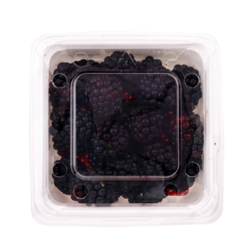 Blackberry Fresh (125g) Ea AIRFREIGHT
