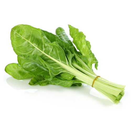 Aquaponics Spinach Silverbeet  (Per/Each)