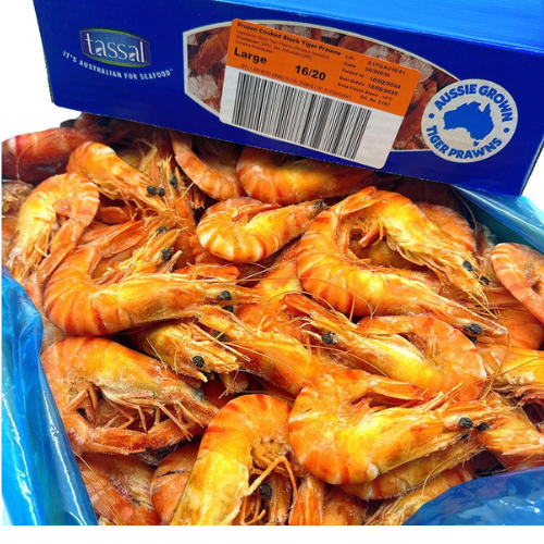 Frozen Prawn King Tiger Whole Cooked (16-20) 5kg CTN