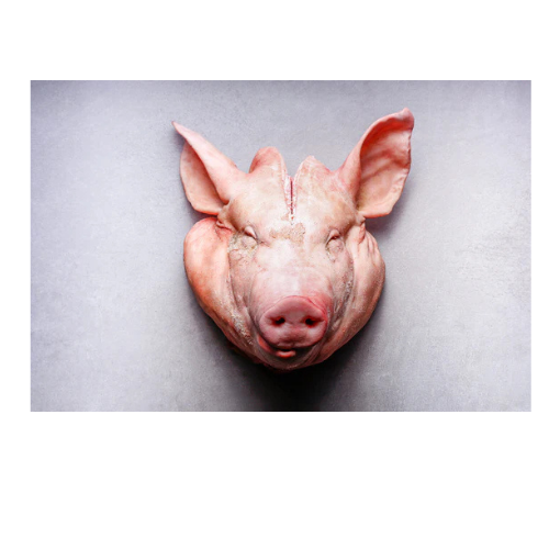Pork Head