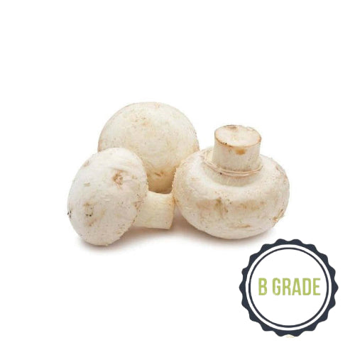 Mushroom Button B GRADE (Per/Kg)