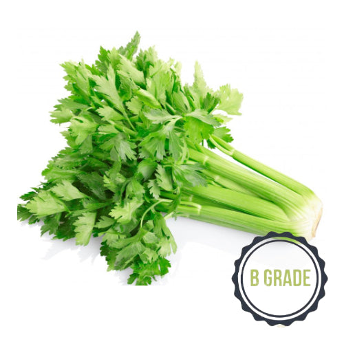 Celery B Grade (Per/ Kg)