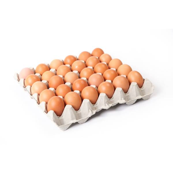 New-Zealand - Grade #6 Eggs (30 Eggs Per/ Tray)