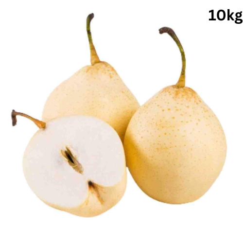 Pear Asian Nashi White 10kg -CTN