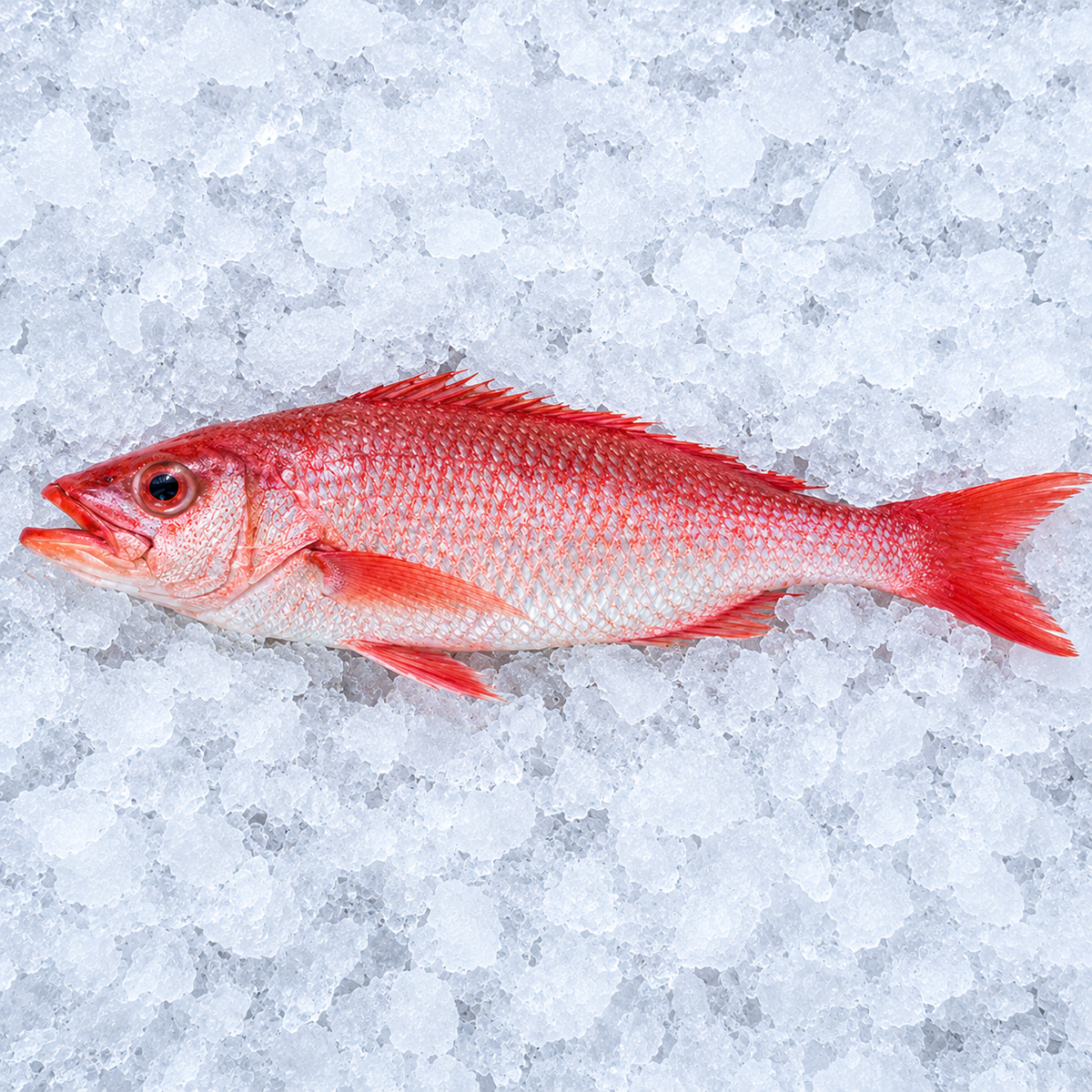 Local Poulet Fish Frozen (per kg)