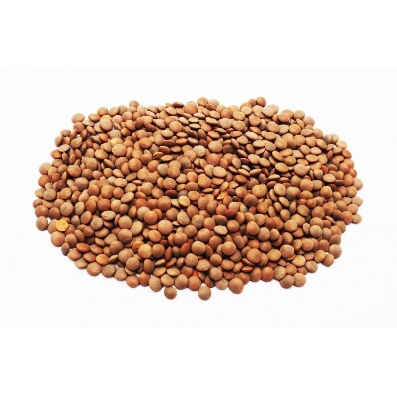 Organic Brown Lentils | Conserves Ferrer