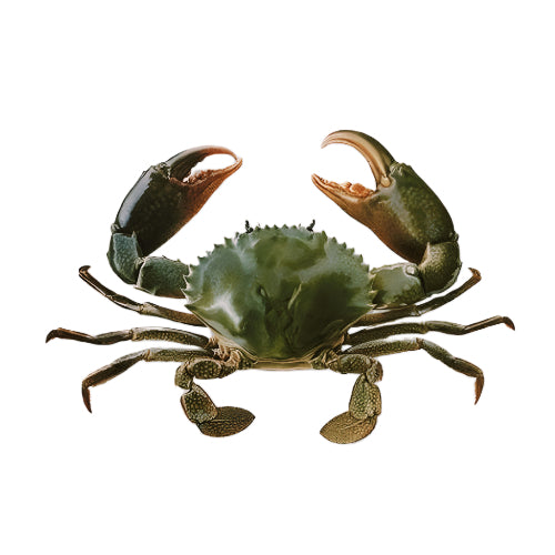 SM Raw Whole Baby Crab 500g (Frozen)