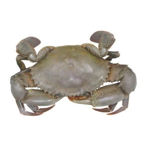 SM Raw Whole Baby Crab 500g (Frozen) x10