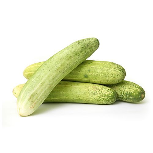 LOCAL Cucumber (Each)