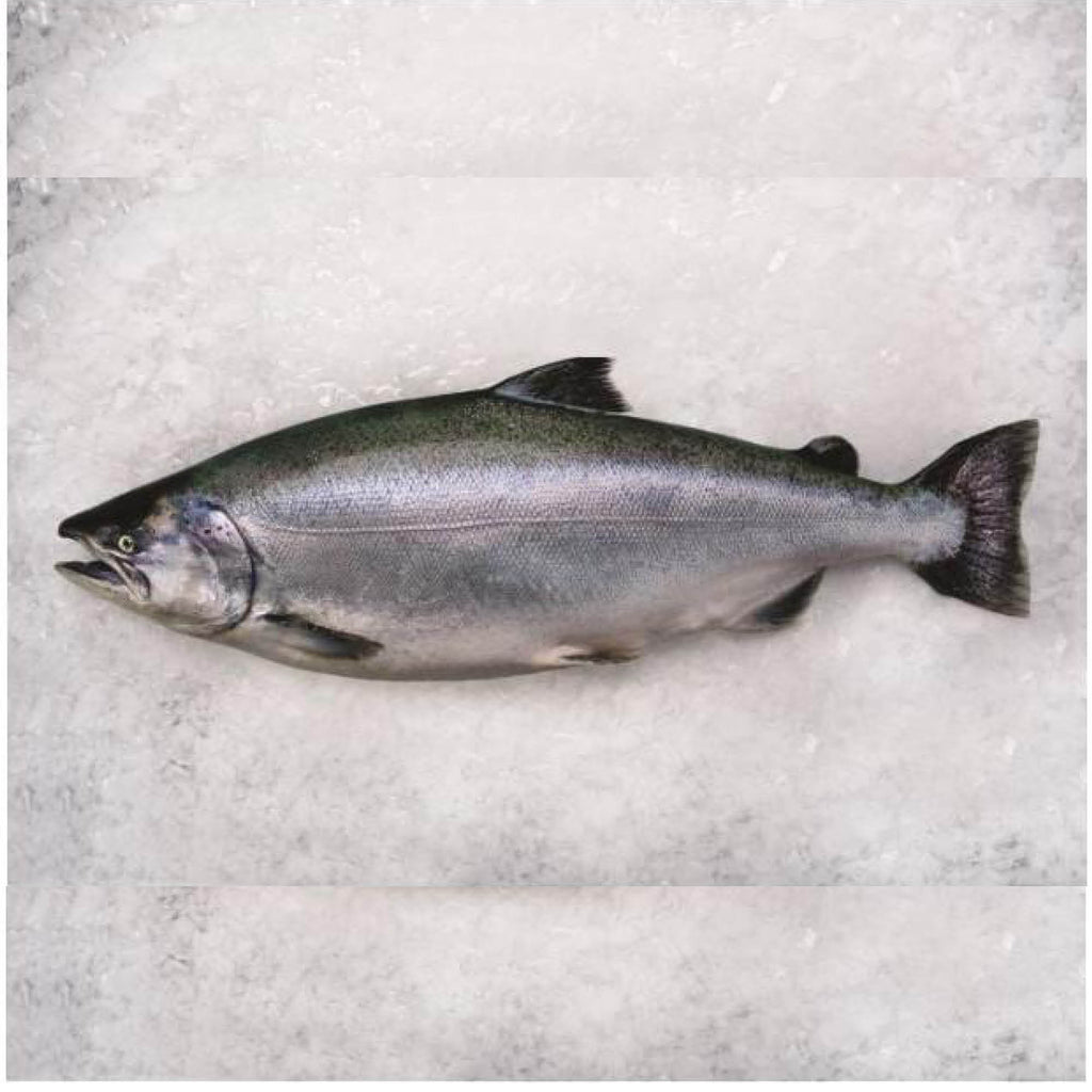 Aoraki Whole Salmon (Gilled & Gutted/ IVP) (1.8-2.2kg) (Per/ Kg)