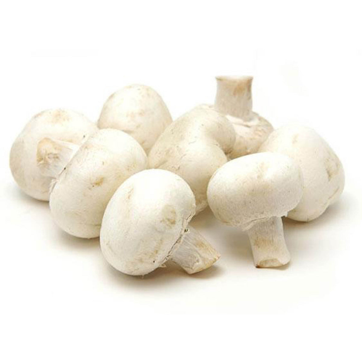 Mushroom Button (Per/ Kg)