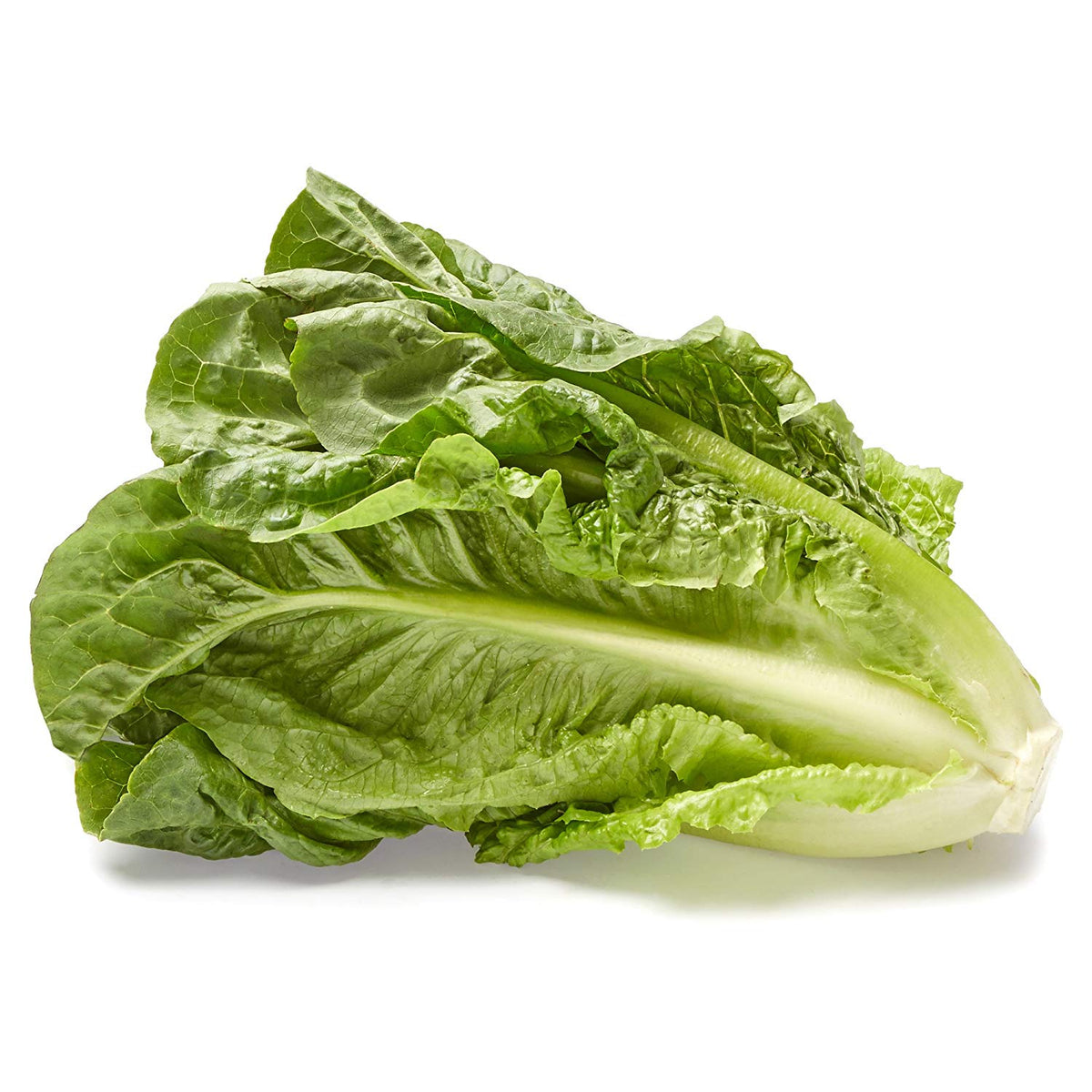 Teouma Valley Farms Iceburg/ Romaine Lettuce, 200-450g (Each)