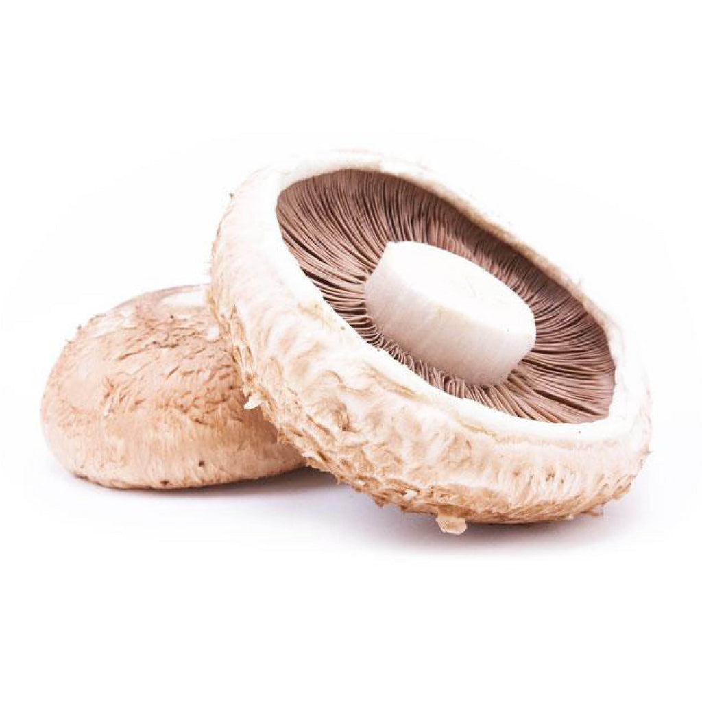 Mushroom Portobello (Per/ Kg)
