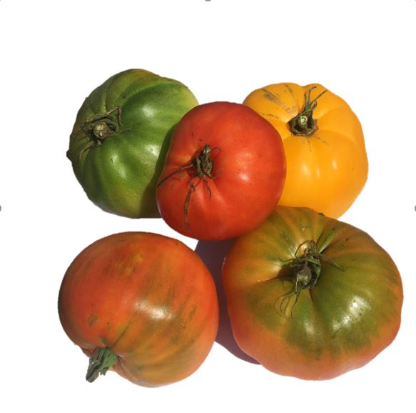 LOCAL Heirloom Tomatoes (Tanna) (Per/Kg)